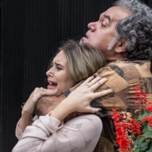 Cenas da novela 'A Força do Querer' (Globo)