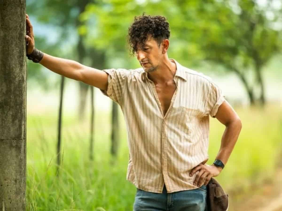 Cenas da novela 'Pantanal' (Globo)