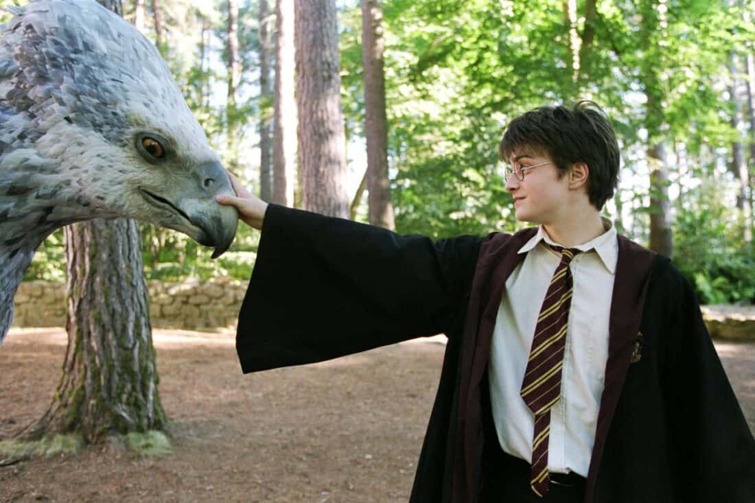 Hipogrifo, Animago: Todas as criaturas mágicas apresentadas em 'Harry Potter e o Prisioneiro de Azkaban'