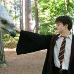 Hipogrifo, Animago: Todas as criaturas mágicas apresentadas em 'Harry Potter e o Prisioneiro de Azkaban'