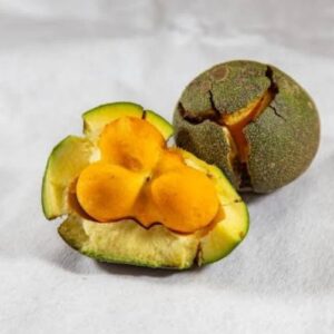 O Pequi é uma fruta típica do Cerrado brasileiro, comum em regiões como Goiás, Minas Gerais, Mato Grosso e Tocantins