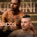 Os marcos