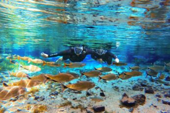 Flutuacao Nascente Azul 1 347x231
