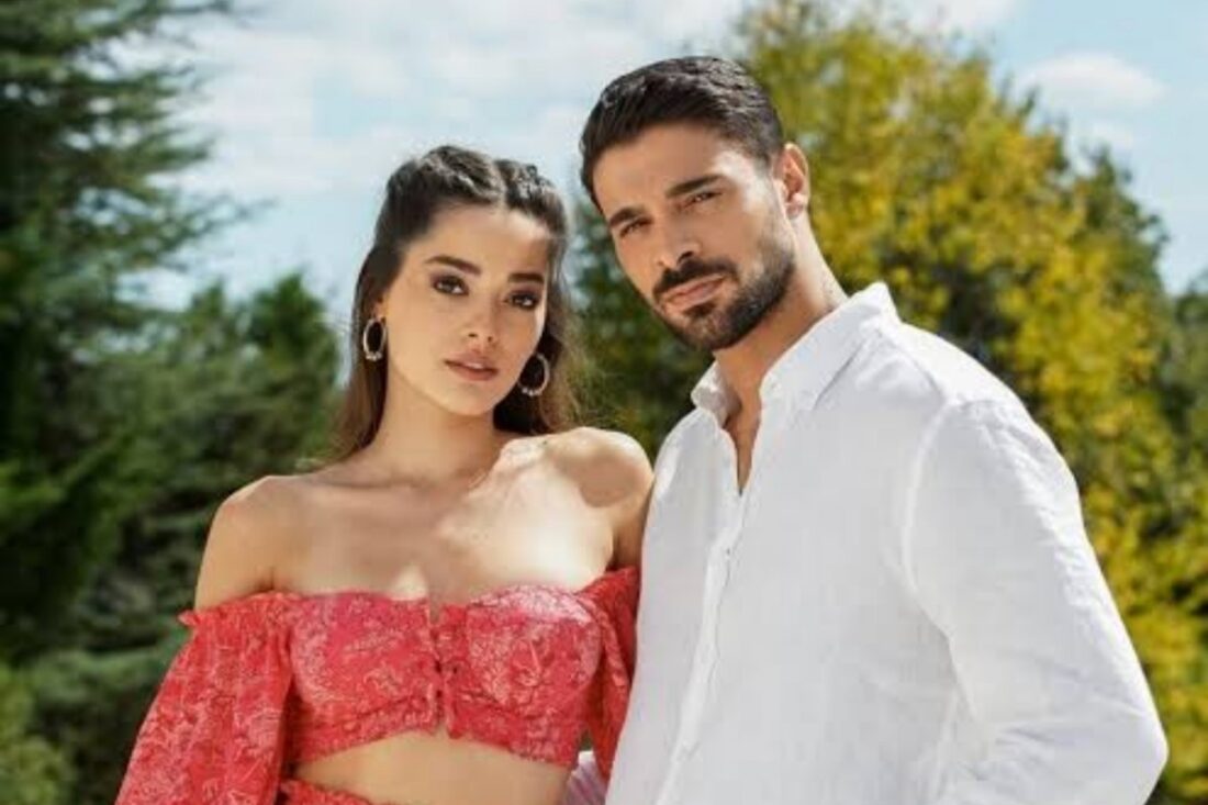 Yabani novela turca