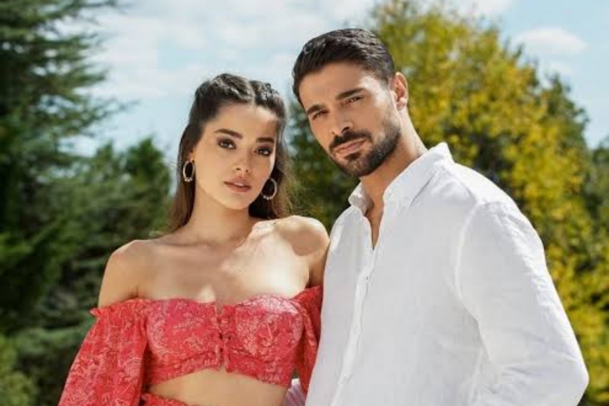 Yabani novela turca