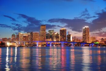 miami night scene 1 347x231
